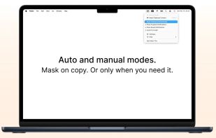 Mask This screenshot 2