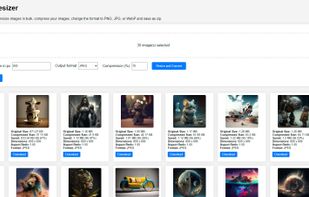 Resizing and converting and compressing images from PNG to JPG