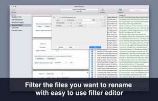 Mass Rename screenshot 2