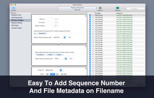 Mass Rename screenshot 3
