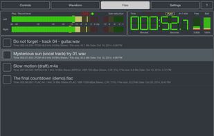 Master Record screenshot 2