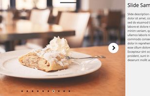 Master Slider screenshot 3