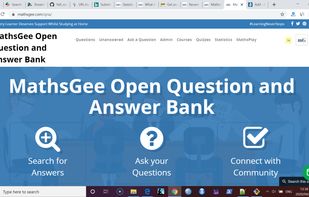 MathsGee questions screenshot 1