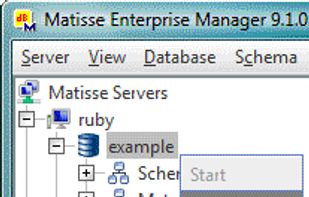 Matisse screenshot 3