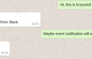 matterbridge screenshot 2