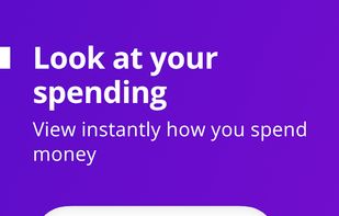 Mavio: Expense Manager screenshot 2