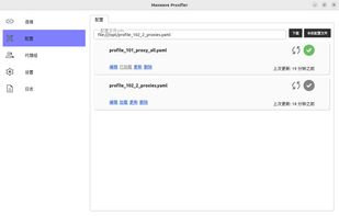 Maxwave Proxifier screenshot 1
