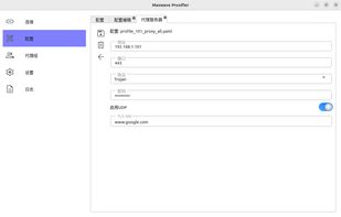Maxwave Proxifier screenshot 3