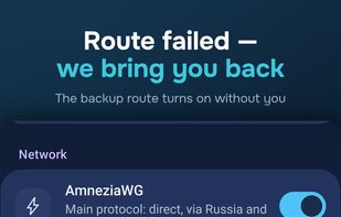 Network settings: protocols and the backup route