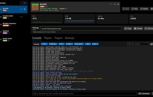 Server dashboard: live console, CPU and RAM stats, and the Playit.gg tunnel address