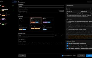 Creating a new server: pick the Minecraft version and type (Vanilla, Paper, Forge, NeoForge, Fabric)