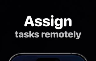 MCP Client screenshot 2