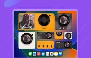 MD Vinyl - Music Widget screenshot 2