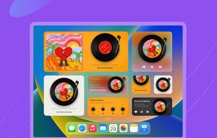 MD Vinyl - Music Widget screenshot 1