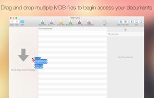 MDB Explorer screenshot 1