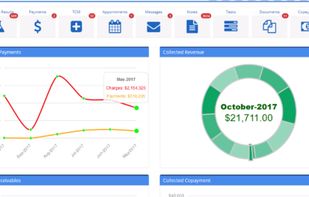 MDVision EMR screenshot 1