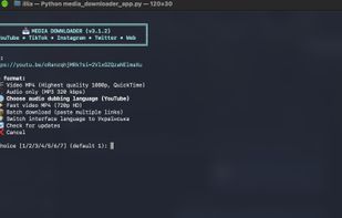 Media Downloader (by Ranok) screenshot 1