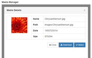 Media Manager screenshot 2