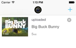 Media Shuttle screenshot 1