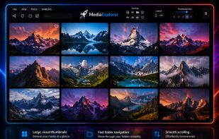 Lighting Fast, No Importing, and Built for Large Collections