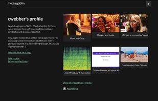 A User profile and their corresponding galleries