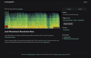 View of an audio file