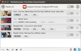 MediaHuman YouTube Downloader screenshot 3