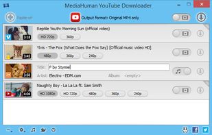 MediaHuman YouTube Downloader screenshot 2