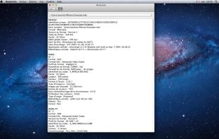 MediaInfo screenshot 3