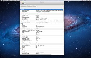 MediaInfo screenshot 2