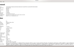 MediaInfo screenshot 1