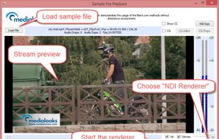 Medialooks MFormats SDK screenshot 1