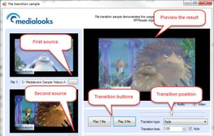 Medialooks MFormats SDK screenshot 2