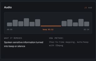 Medianonymizer screenshot 2