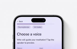 Meditation's voice selection