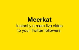 Meerkat screenshot 3