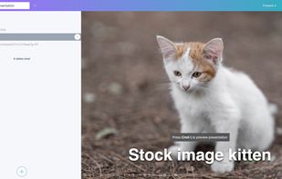 Search stock images and add them to slides with one click
