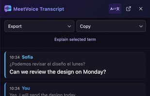 Bilingual meeting transcript — interface example with fictional conversation