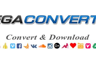 MegaConverter.net - YouTube to MP3 screenshot 1