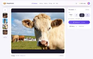 Drop in photos, pick a size and see the price before you enhance