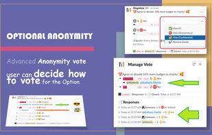 MegaVote screenshot 1