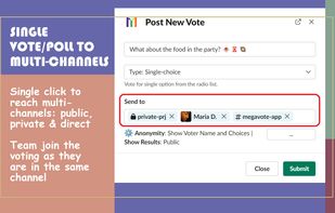 MegaVote screenshot 3