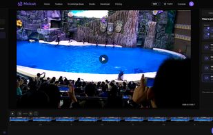 Batch video compression — upload multiple files (MP4, MOV, etc.) and process them all at once.