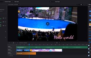 Editing Studio — multi-track timeline with video, audio & text tracks, transitions and filter presets.