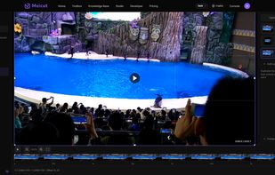 Crop video and export to multiple resolutions at once (1920×1080, 1080×1350, 720p).