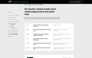 Twelve week roadmap: the strategy broken into six sequenced chunks.