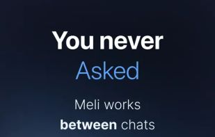 Meli AI screenshot 3