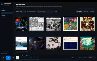 Browse your music collection visually with Album Wall. Explore album artwork, arrange albums by sound, search for artists or albums, and discover music without scrolling through endless lists. Copy