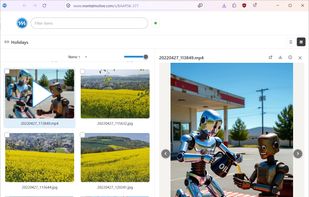 Share collections with a browser link