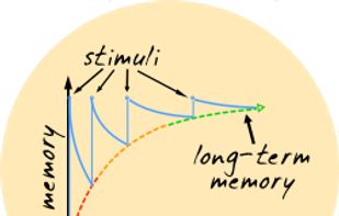 How to reach long-term memory